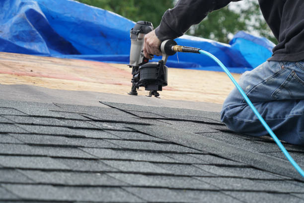 Best Roof Repair Services  in Centreville, MI